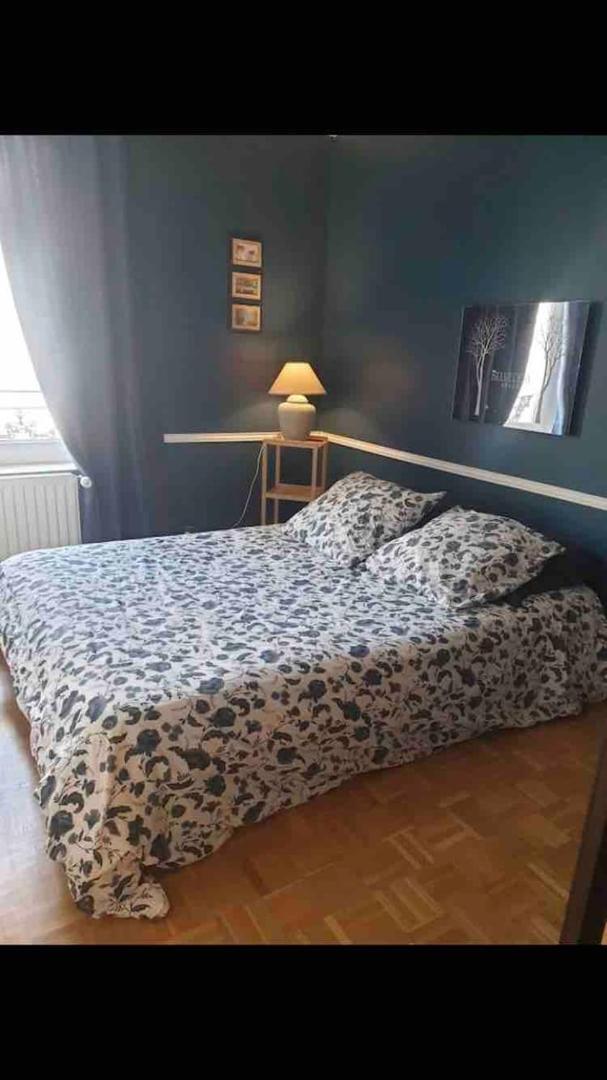 Duplex 4 Couchages Chaleureux Gare Sur Place Nogent-l'Artaud ภายนอก รูปภาพ